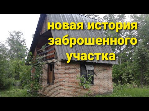 Видео: Преображение нашего участка за 4 года(2018-2021г)Продолжение следует....