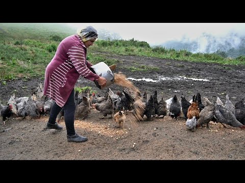 Видео: Դենը Վախտը Վարսավիր Էի - Когда-то была парикмахером-Շամշադինի Համը-Шамшадин