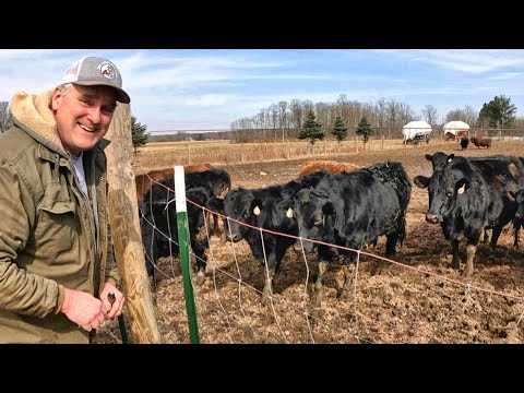Видео: Приближаясь к концу