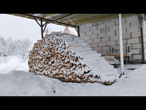 Видео: Апрельский снегопад в Беларуси.Природа в шоке.