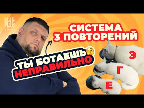 Видео: Не можешь запомнить теорию? Научный подход к подготовке к ЕГЭ!