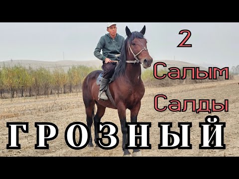 Видео: ГРОЗНЫЙ КЕЧЭЭ ЭКИ САЛЫМ САЛДЫ