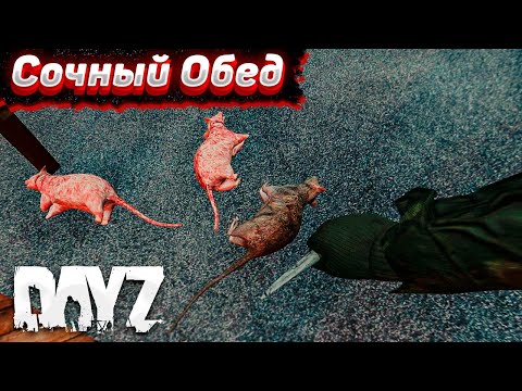 Видео: Сочный Обед. Dayz Хардкор. Серия #2