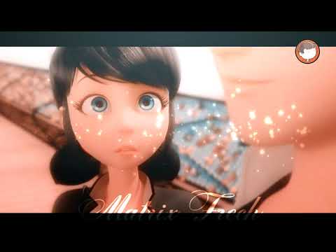 Видео: Леди баг и супер кот-Миллион алых роз