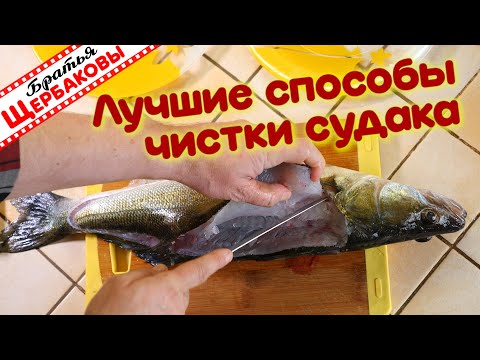 Видео: Лучшие два способа чистки и обработки судака. Братская кухня