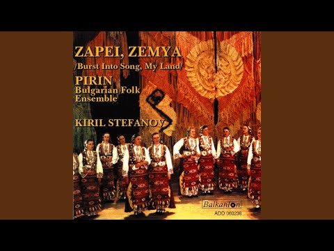 Видео: Море пиле, славей пиле