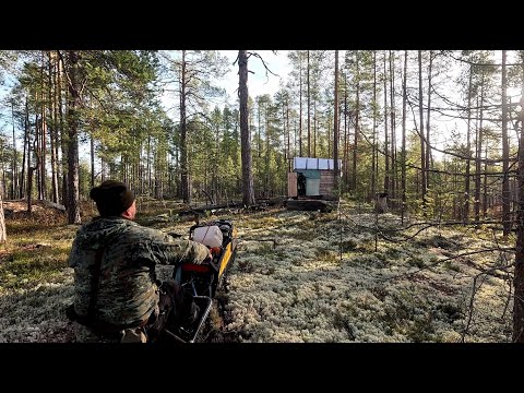 Видео: ФИГАРЮ НА МОТОСОБАКЕ К ЛЕСНОЙ ХИЖИНЕ. ЧТО СТАЛО С ХИЖИНОЙ В БЕЗЛЮДНОМ ЛЕСУ. ЖИЛИЩЕ В ДИКИХ МЕСТАХ.