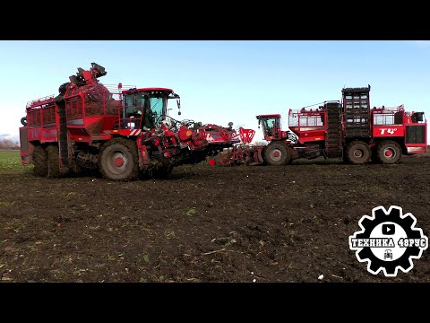 Видео: Новые Holmer T4-40 пришли на помощь. Уборка свёклы в Елецком районе. И первое знакомство с комбайном