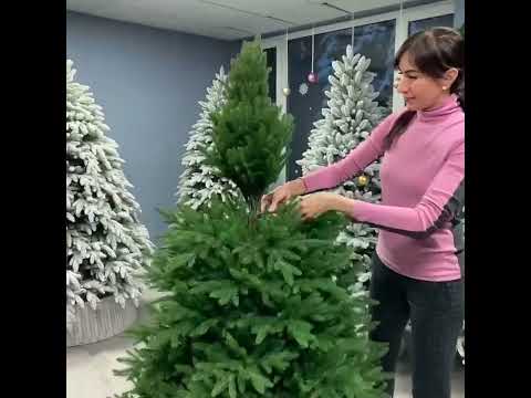 Видео: Сборка ёлочки Александрийская 180 см