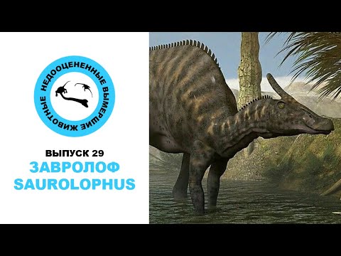 Видео: Недооцененные Вымершие Животные. Выпуск 29: Завролоф (Saurolophus)
