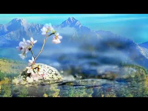 Видео: Таира Муспахова - Геж атана лугьумир