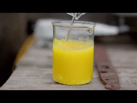 Видео: Сбор одуванчика. Варим лечебное мыло.