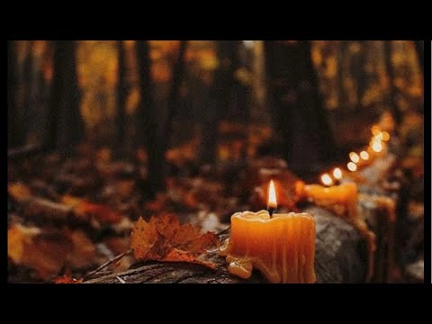 Видео: Виктория Романовна в прямом эфире!ИНФОРМАЦИЯ С ПОТОКА