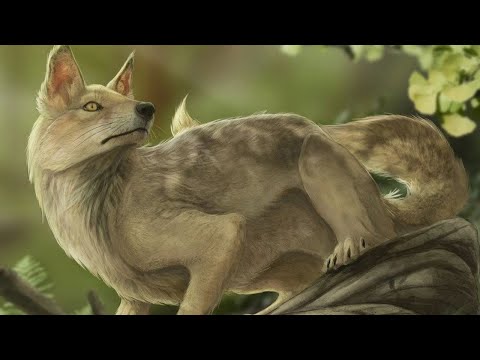 Видео: Эволюция собаки