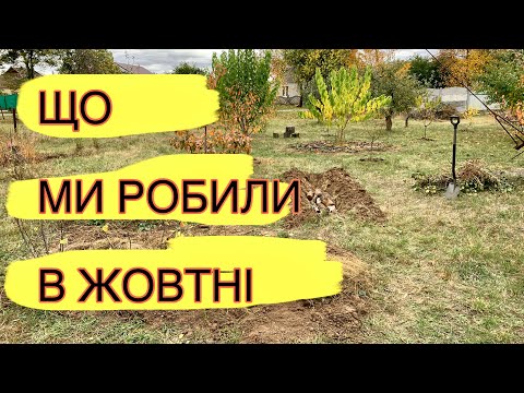 Видео: РОБОТИ В САДУ В ЖОВТНІ