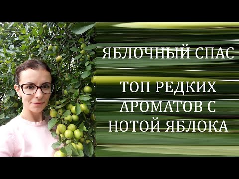 Видео: РЕДКИЕ АРОМАТЫ С ЯБЛОКОМ | Dolce Canto Cigno Nero | Zoologist Macaque Fuji | Apple Tabac Pineward