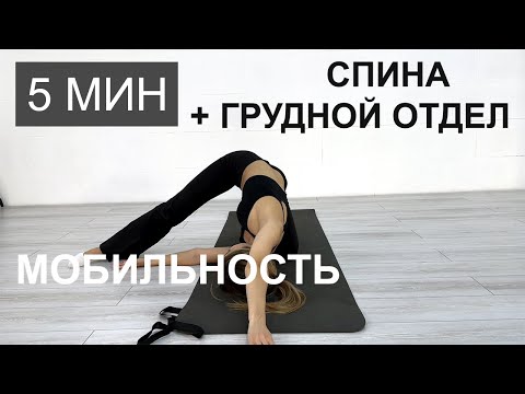 Видео: Подвижность верхней части тела • Растяжка спины, плеч и позвоночника | Осанка и снятие боли