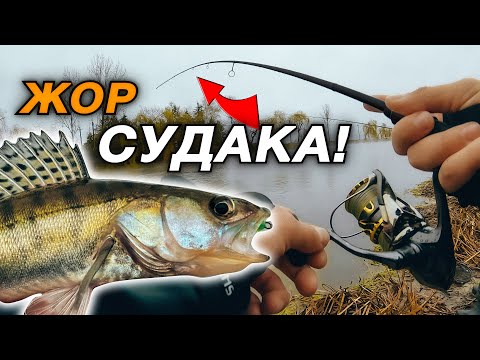 Видео: ЗИМОВА РОЗДАЧА СУДАКА - Зловив 30 СУДАКІВ На Відвідний Повідок. Рибалка Бурштин Теплий канал