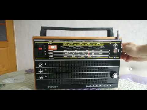 Видео: 11 ноября 2025 г.