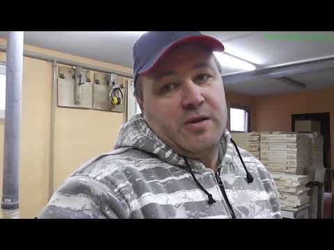 Видео: Знакомство с ульем и не только