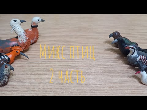Видео: МИКС ПТИЦ! 2 часть! Лепим различных диких птиц.