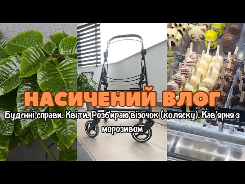 Видео: БУДЕННІ СПРАВИ. Розбираю візочок. Догляд за квітами. Кавʼярня з морозивом.