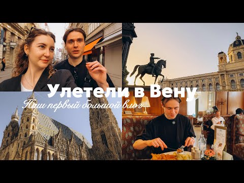 Видео: VLOG | Улетели в Вену: заселение в отель, прогулка и австрийская кухня