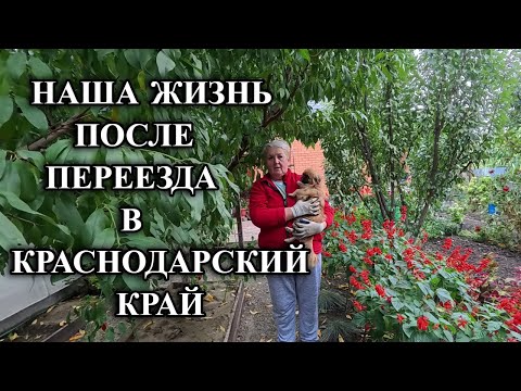 Видео: 694ч Один день из жизни на юге/Переехали на Кубань/Купили новый дом на юге