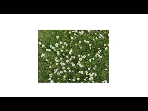 Видео: FACE - Крест (2023, Prod. by Slidinmoon)