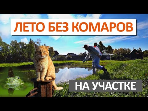 Видео: УНИЧТОЖЕНИЕ КОМАРОВ на участке — ЭКОЛОГИЧНО и БЕЗОПАСНО для животных