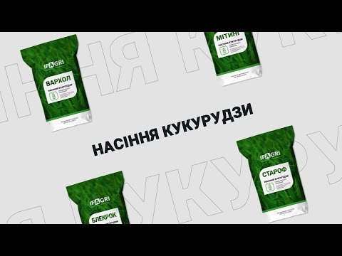 Видео: Сілверклауд ФАО 200. Насіння кукурудзи від IFAGRI