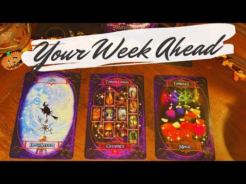 Видео: Подробный план на предстоящую неделю 👻🧡 выберите карту 🔮 еженедельное чтение