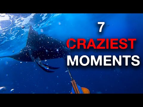 Видео: Самые безумные вещи, с которыми я столкнулся во время подводной охоты