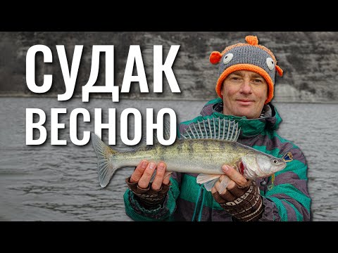 Видео: Дністер. Ловля весняного судака