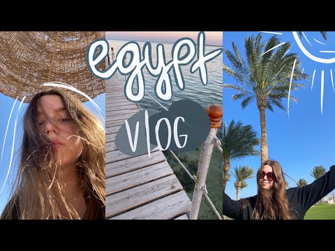 Видео: Приехали в Египет зимой 🐫 || vlog || royal albatros moderna 5* ⛰