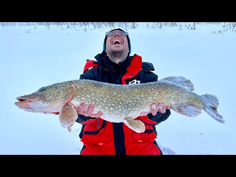 Видео: САМАЯ КРУПНАЯ РЫБА В СЕЗОНЕ! РОЗЫГРЫШ