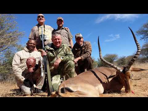 Видео: Охота на антилоп в Намибии 2018