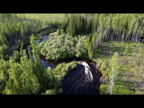 Видео: Рыбалка в сибирской тайге. Хариус. Порвали водомётную лодку!