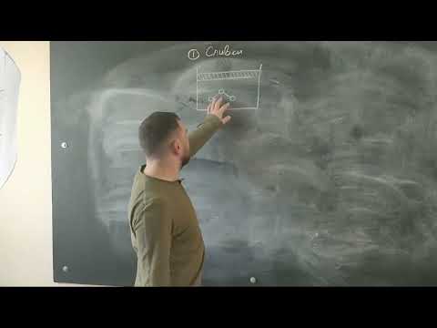 Видео: 7. Составные части молока. Обсуждение вопросов по липазе в молоке