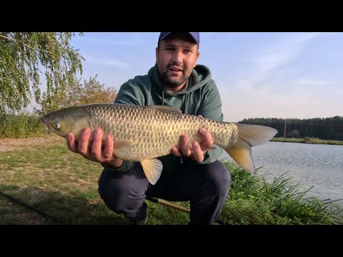 Видео: Просто РИБОЛОВЛЯ ⚡