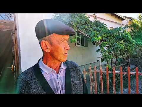 Видео: Базарбай Муртазаев коше бийи