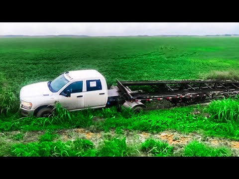 Видео: ВСЁ
