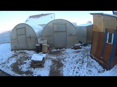 Видео: Николаевские голуби Маленькая хитрость в маточный период