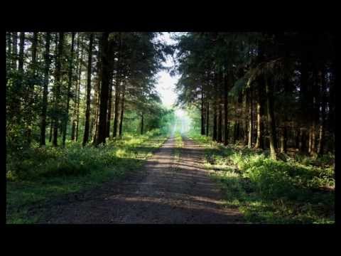 Видео: Boris Shtokolov. Борис Штоколов. Выхожу один я на дорогу.