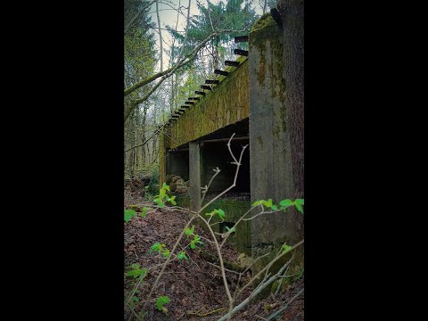 Видео: АПК №014, Дзяржынскі раён. #падарожжыпабеларусі #путешествияпобеларуси #travelbelarus