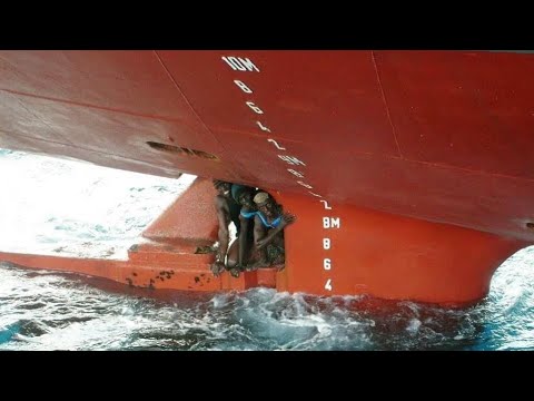 Видео: "ЗАЙЦЫ" НА БОРТУ СУДНА (ФИЛЬМ)