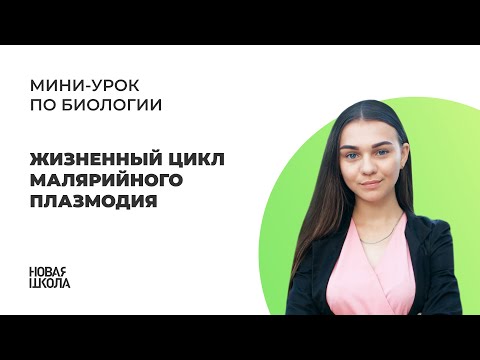 Видео: Жизненный цикл малярийного плазмодия | ЕГЭ по БИОЛОГИИ | Новая Школа ЕГЭ