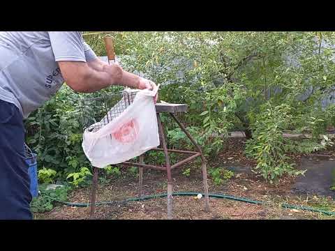 Видео: Как, без усилий, помыть решетку после шашлыка? Очень просто!