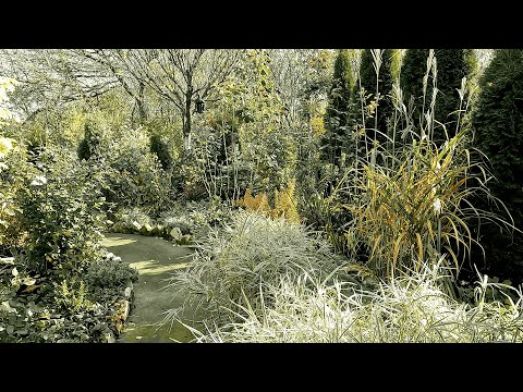 Видео: ОБХІД САДУ БЕЗ ПРИКРАС.Нескінченна праця таКЛУМБА-ЕКСПЕРИМЕНТ/The REAL Garden Tour Never-ending Work