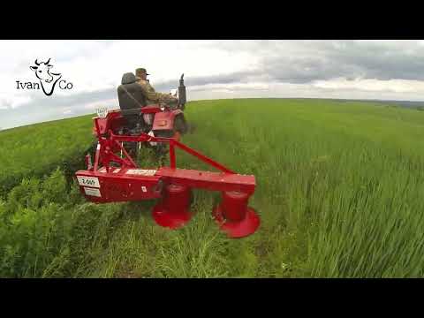 Видео: Виракс-Wirax Польша 1.35м. Люцерну косит на ура. На лугу творит чудеса!